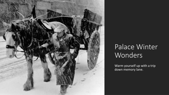 palace winter wonders