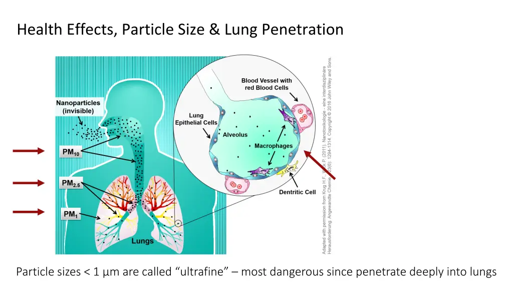 health effects particle size lung penetration