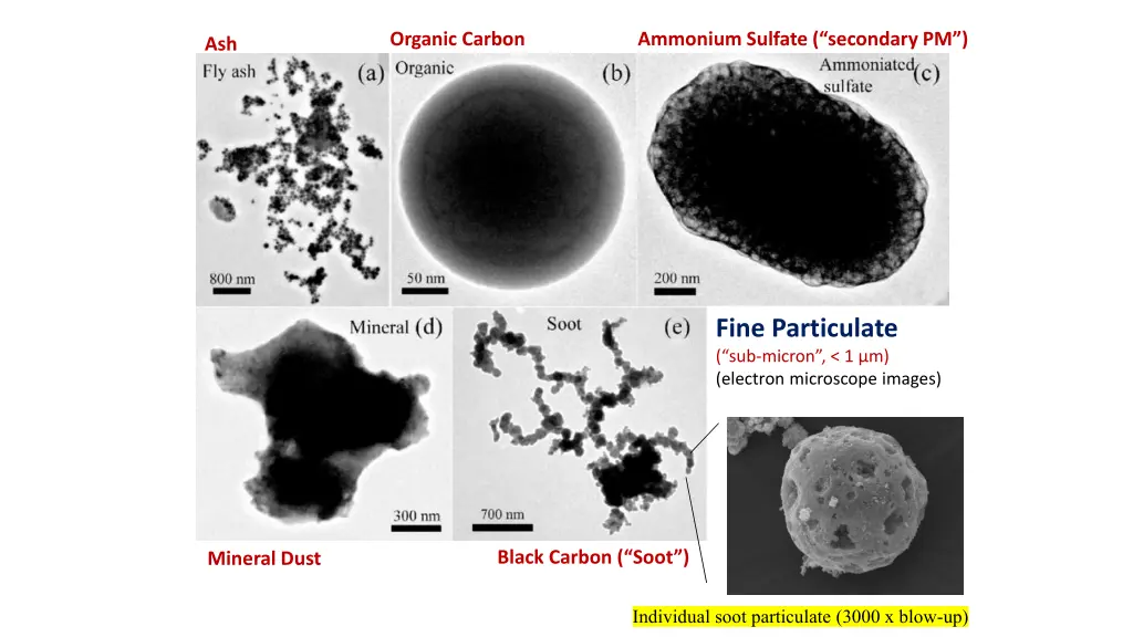 organic carbon