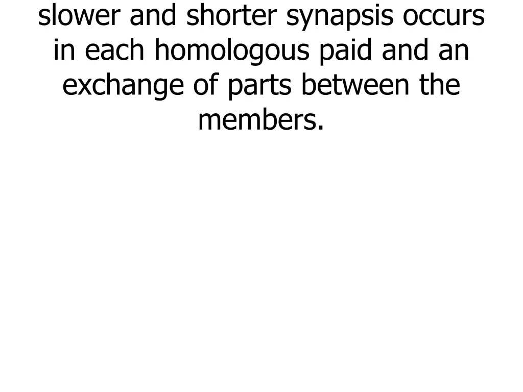 1 meiotic division prephase is slower and shorter