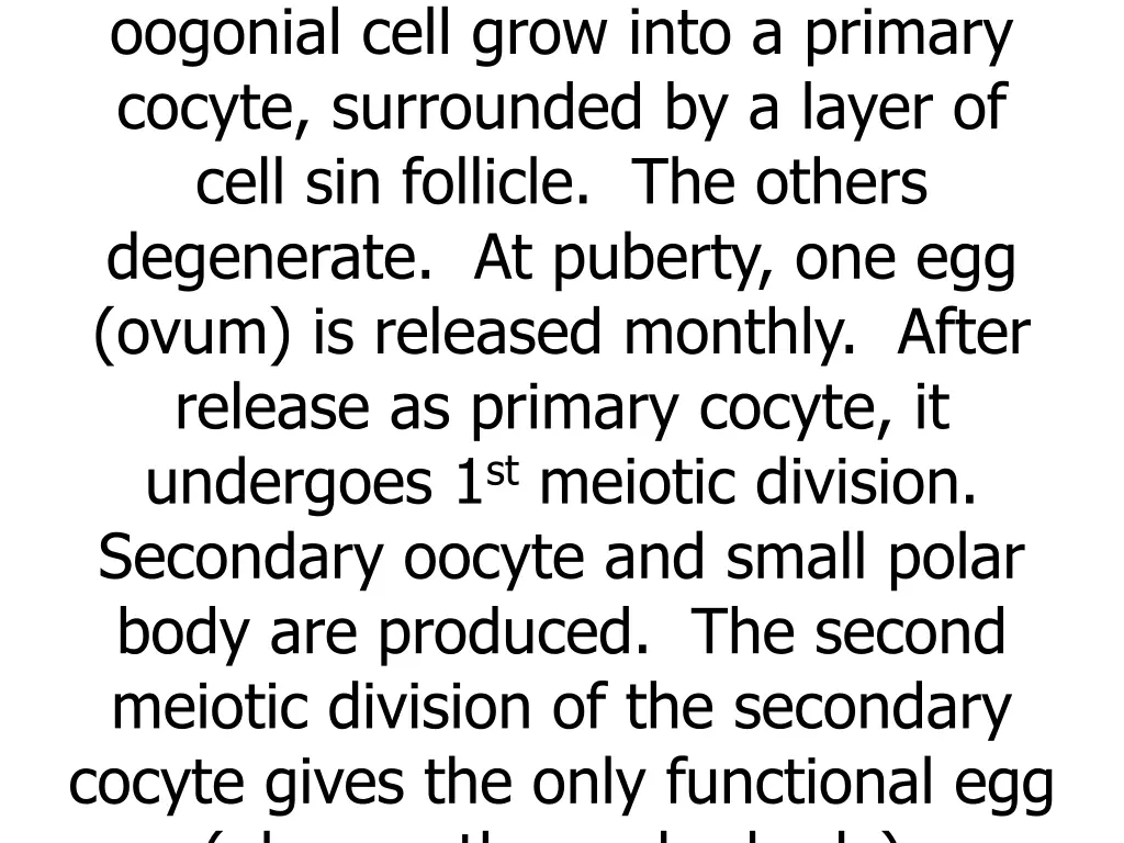 almost completed only one oogonial cell grow into