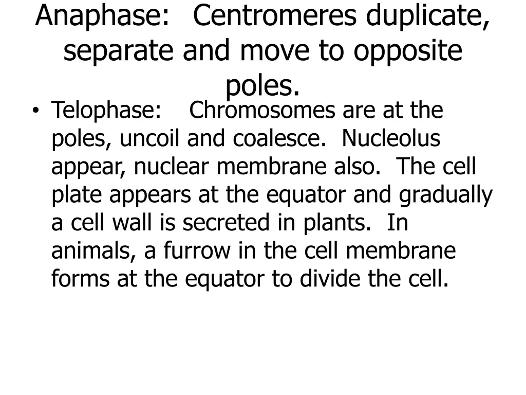 anaphase centromeres duplicate separate and move