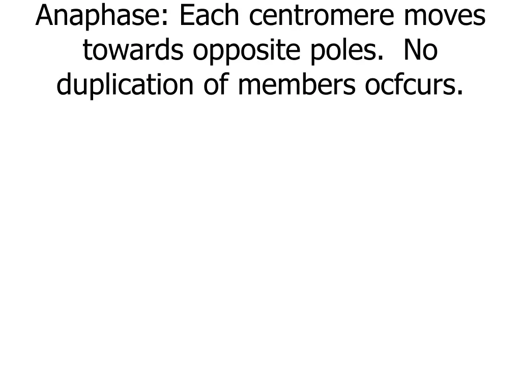 anaphase each centromere moves towards opposite