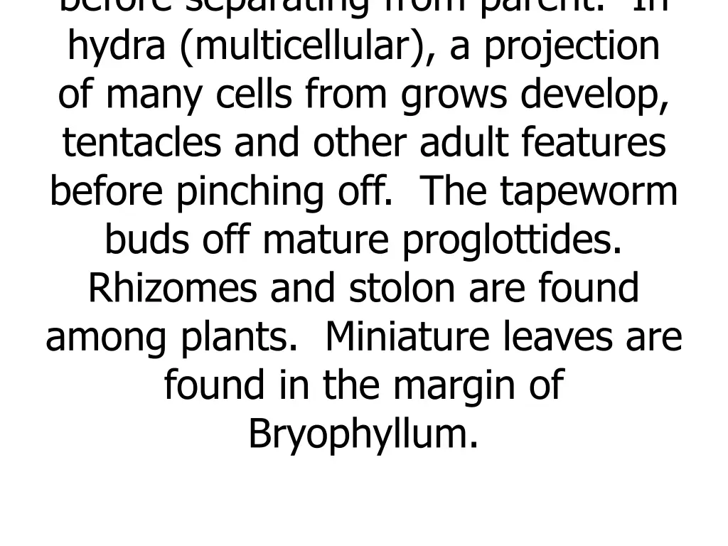 before separating from parent in hydra