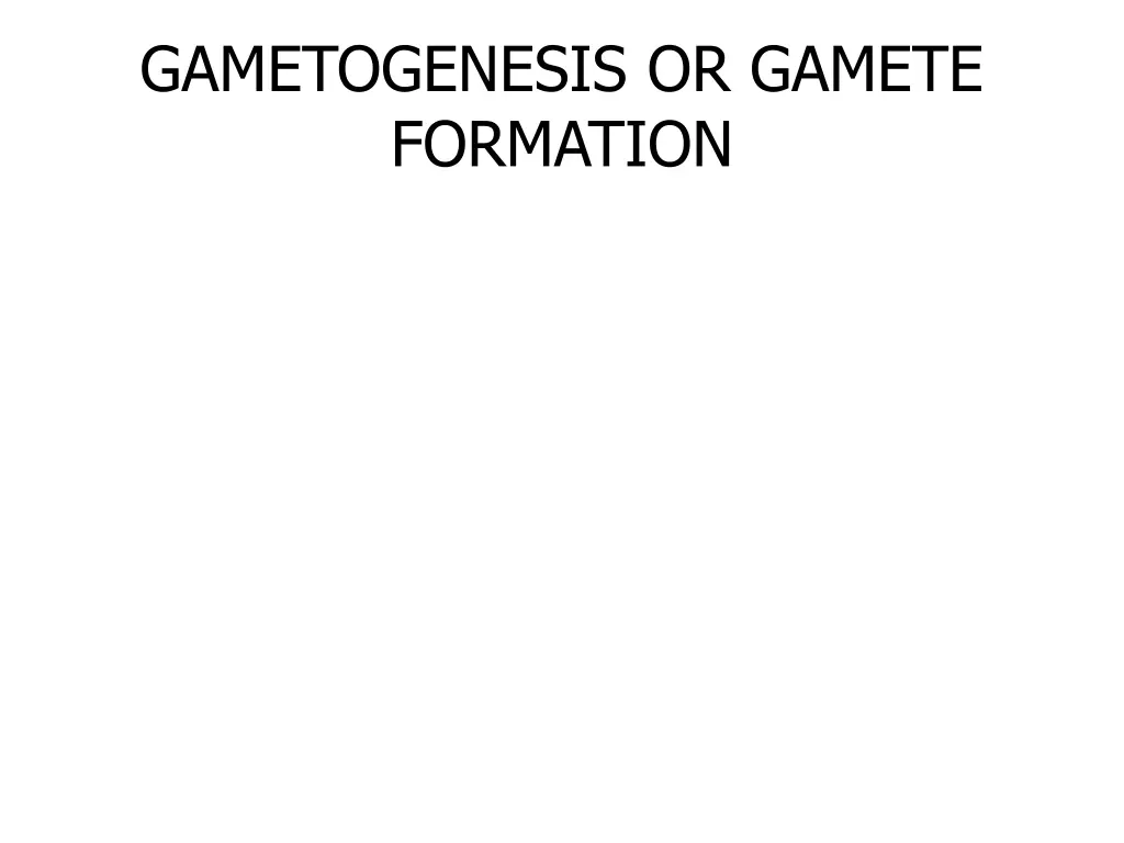 gametogenesis or gamete formation