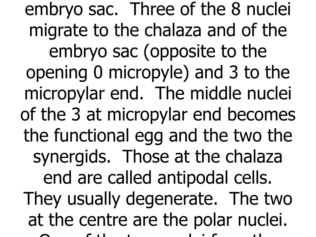 haploid nuclei the cell is the embryo sac three