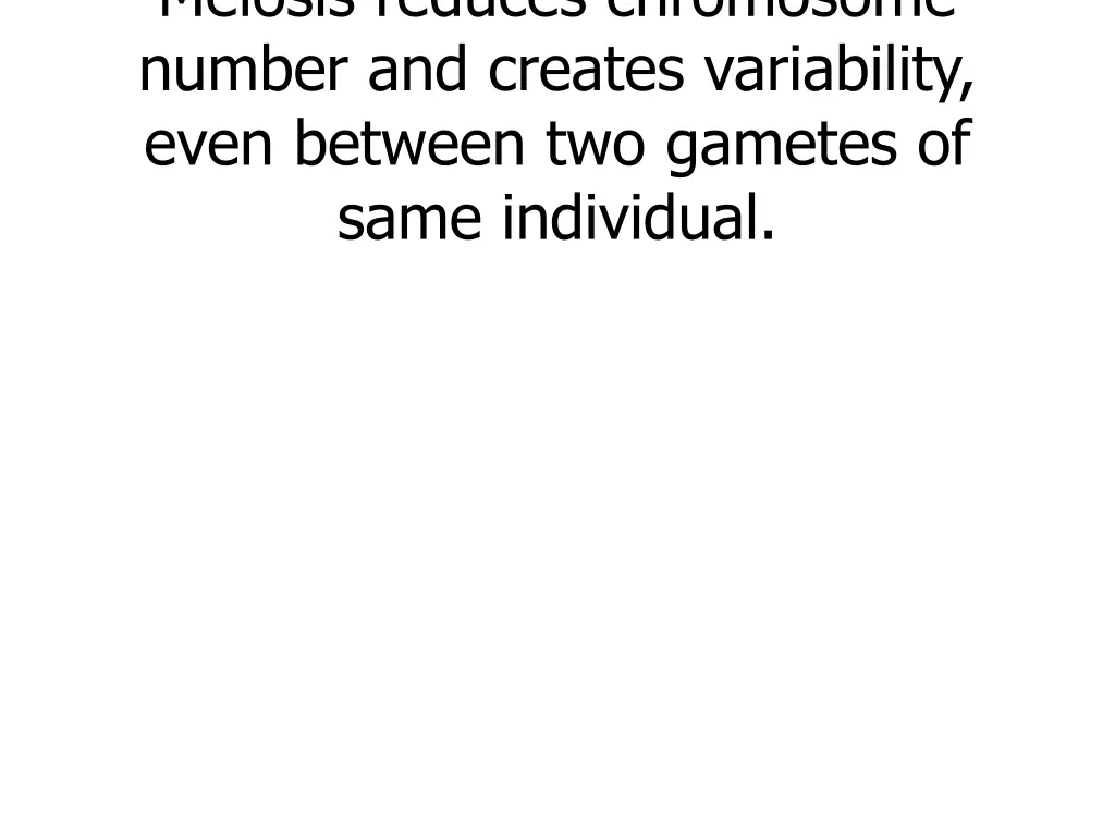 meiosis reduces chromosome number and creates