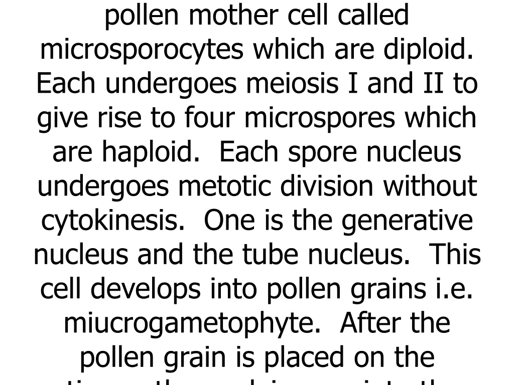 the ovary the anther contains the pollen mother