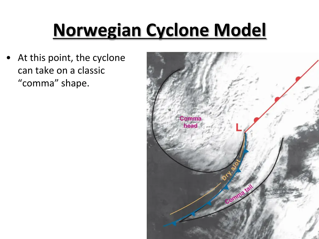 norwegian cyclone model 8