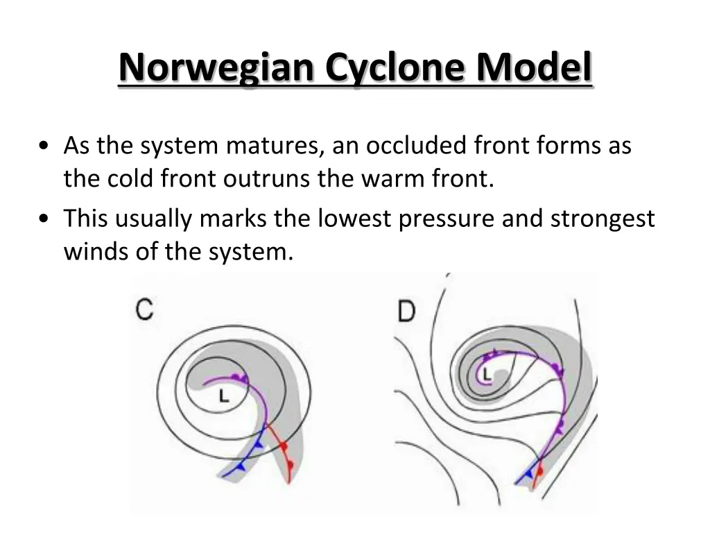 norwegian cyclone model 9