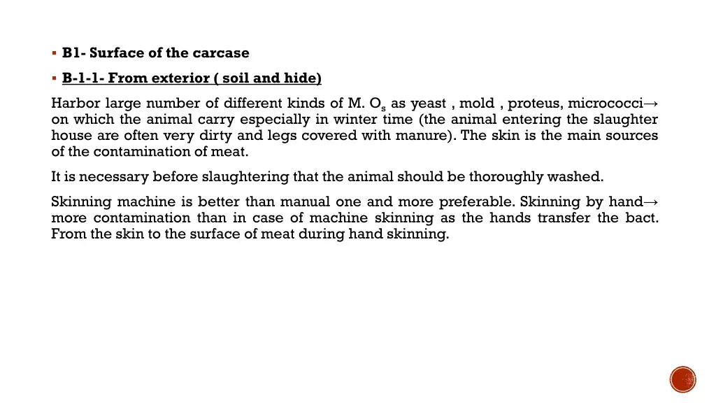 b1 surface of the carcase