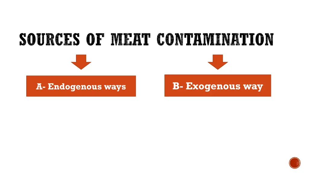 sources of meat contamination