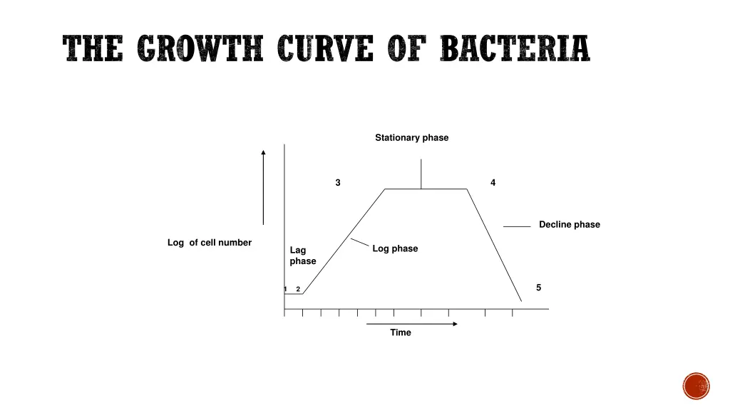 the growth curve of bacteria