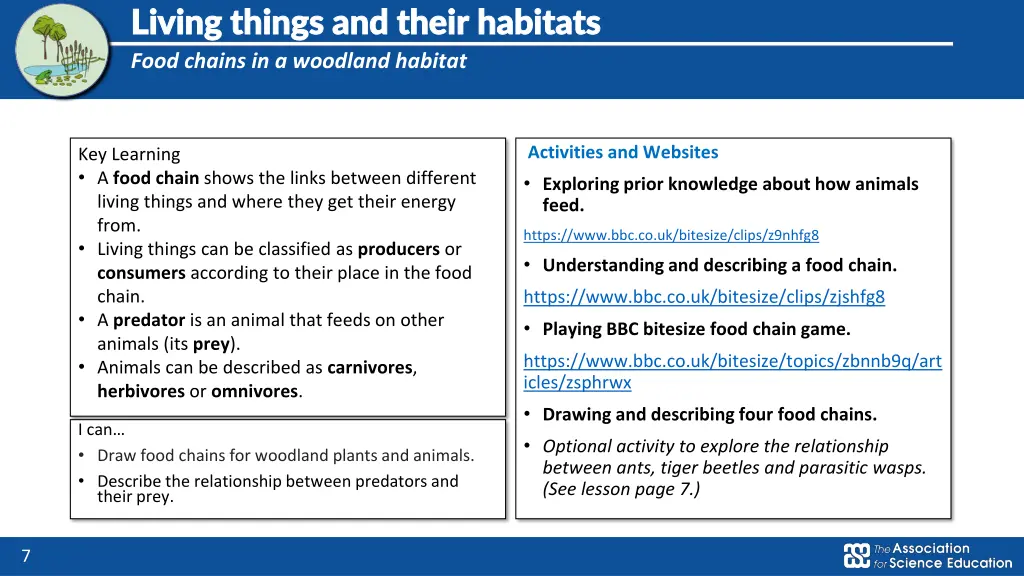 living things and their habitats living things 3