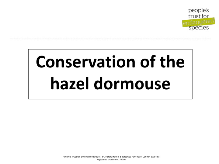 conservation of the hazel dormouse