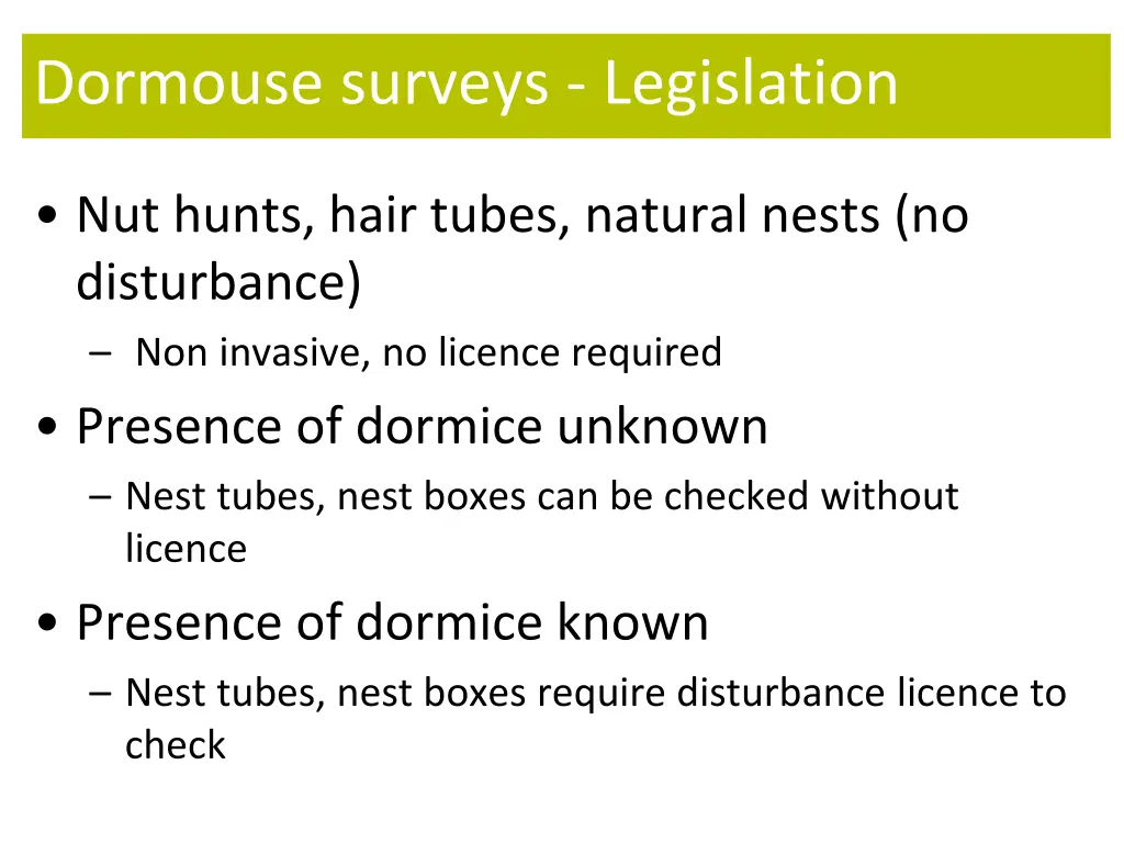 dormouse surveys legislation