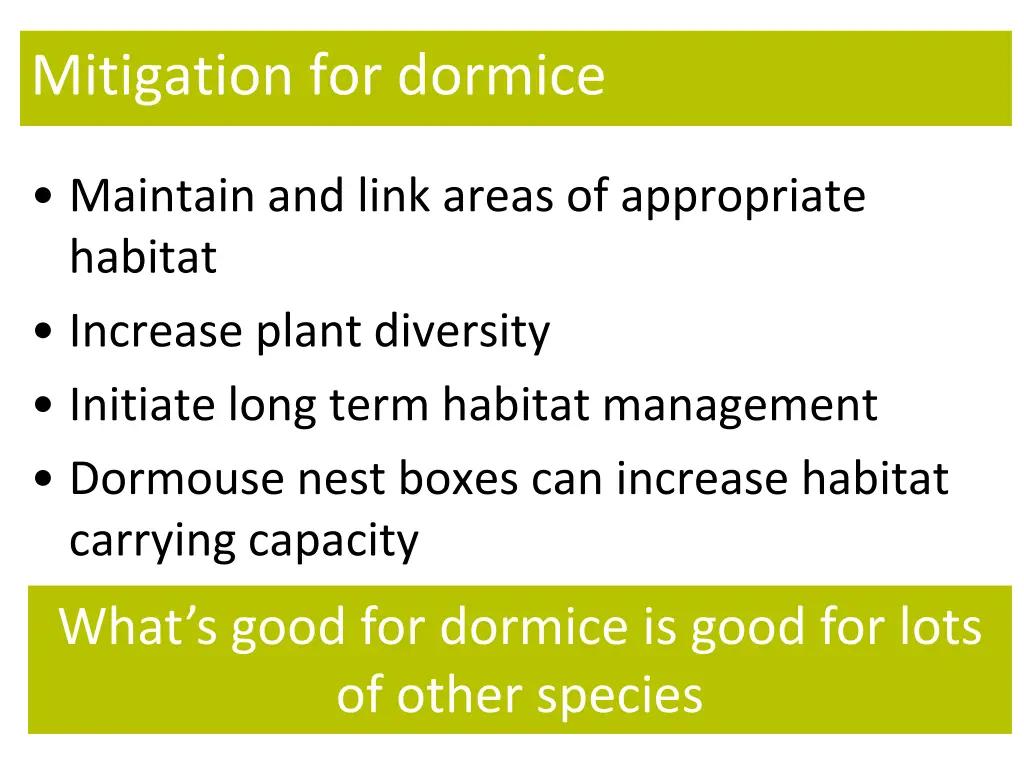 mitigation for dormice