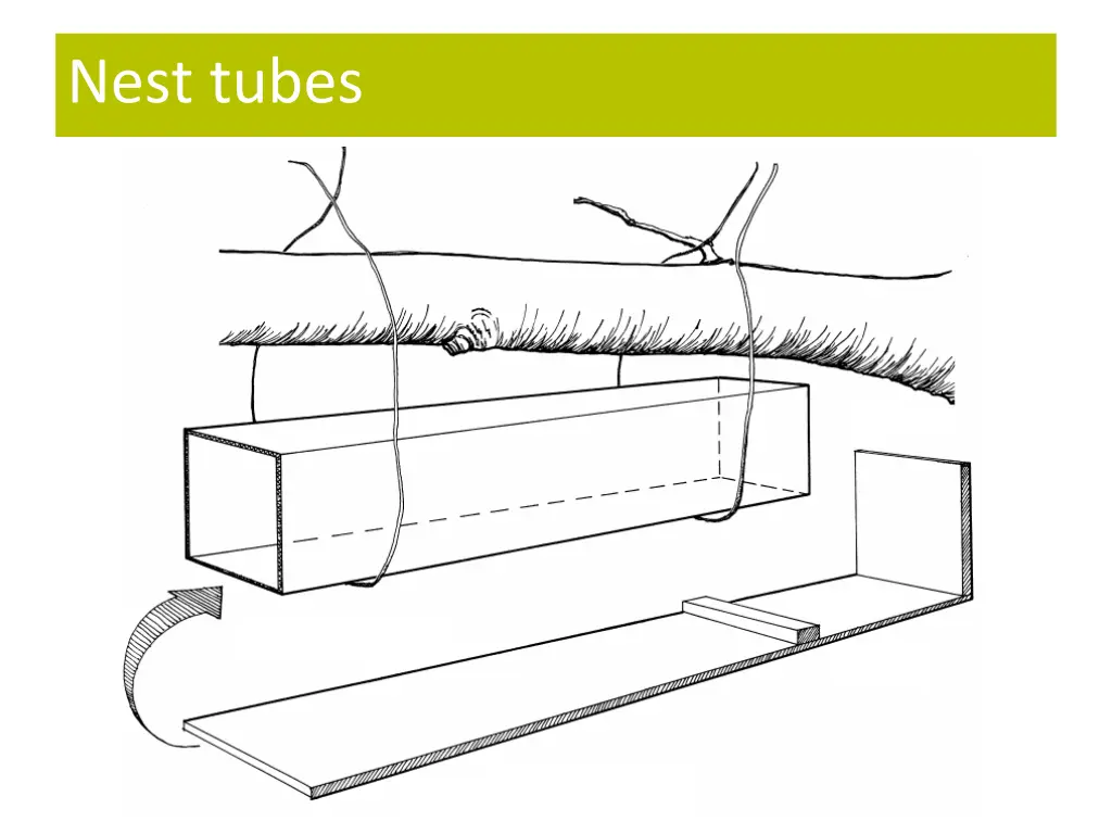 nest tubes 1