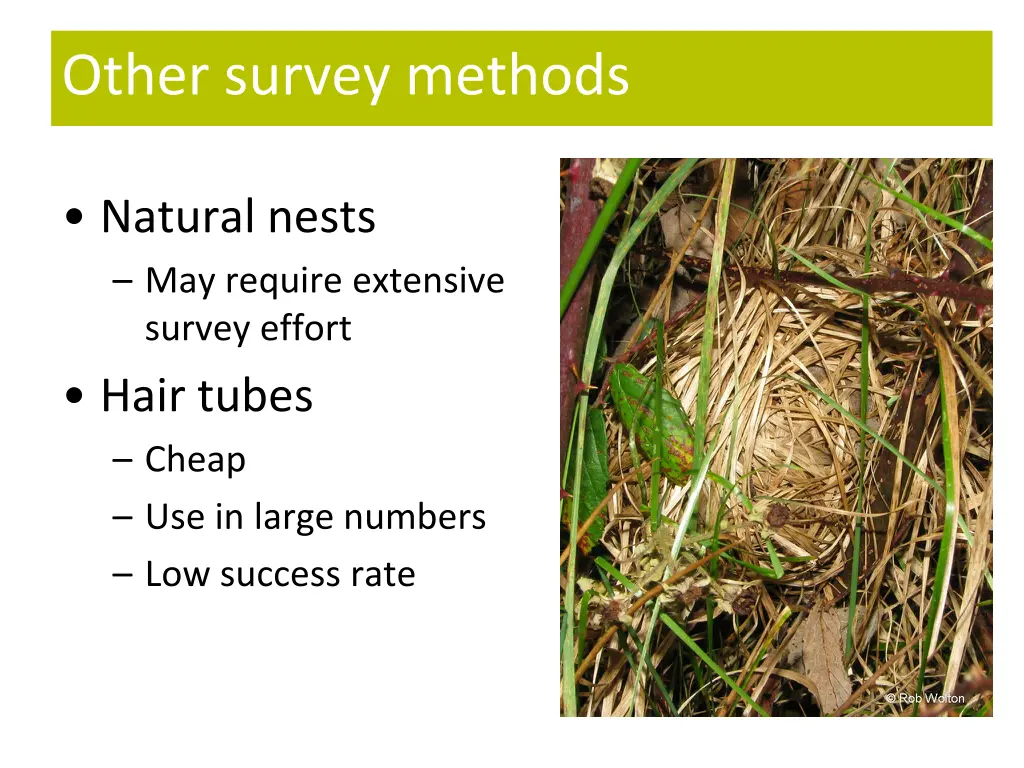 other survey methods