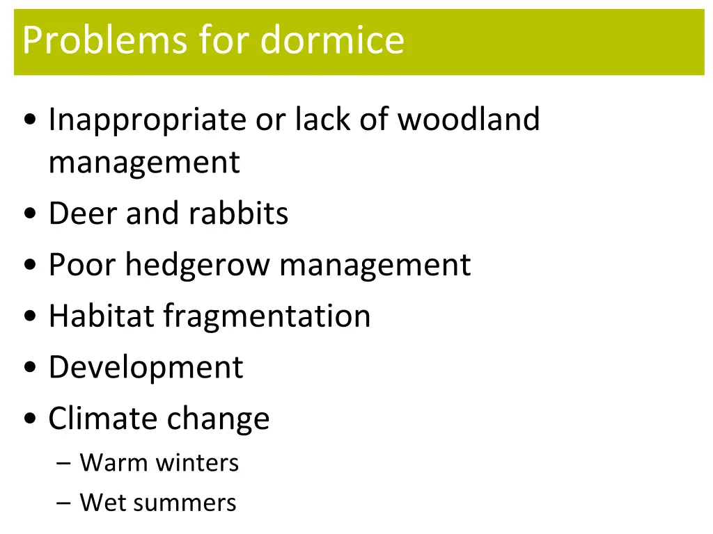 problems for dormice