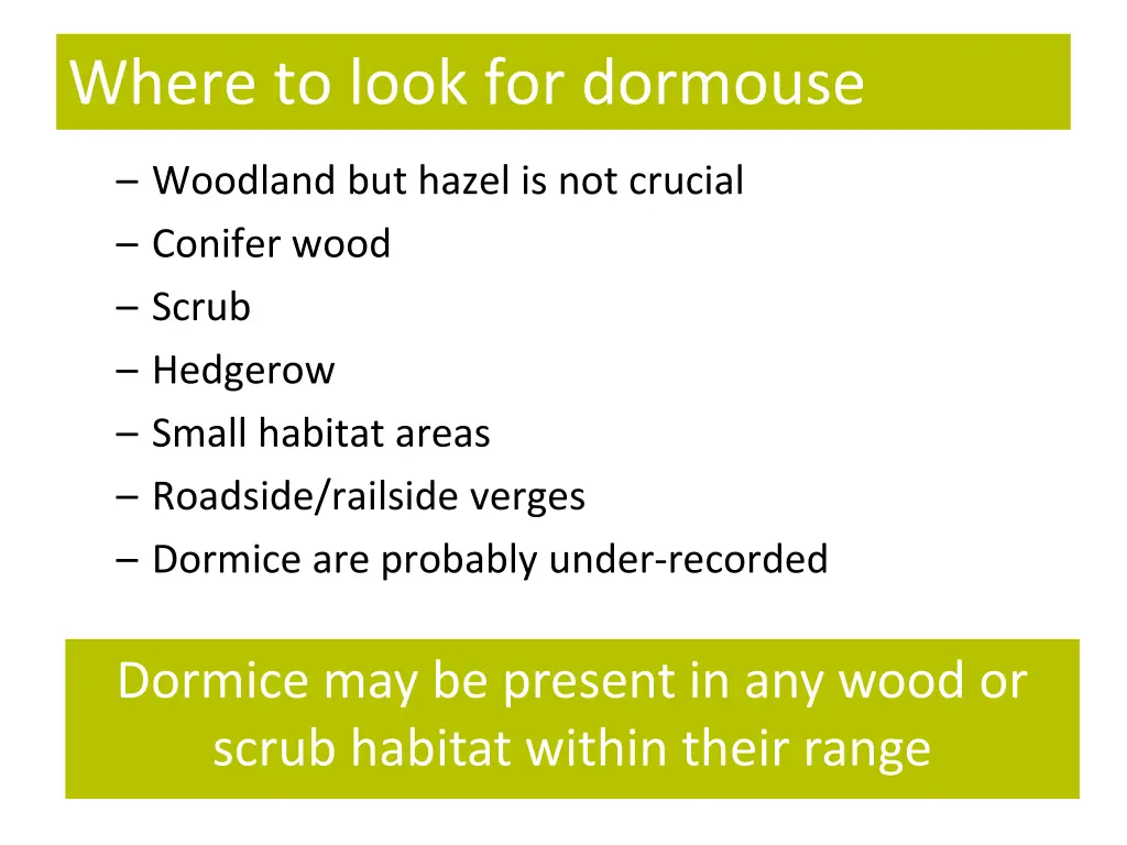 where to look for dormouse