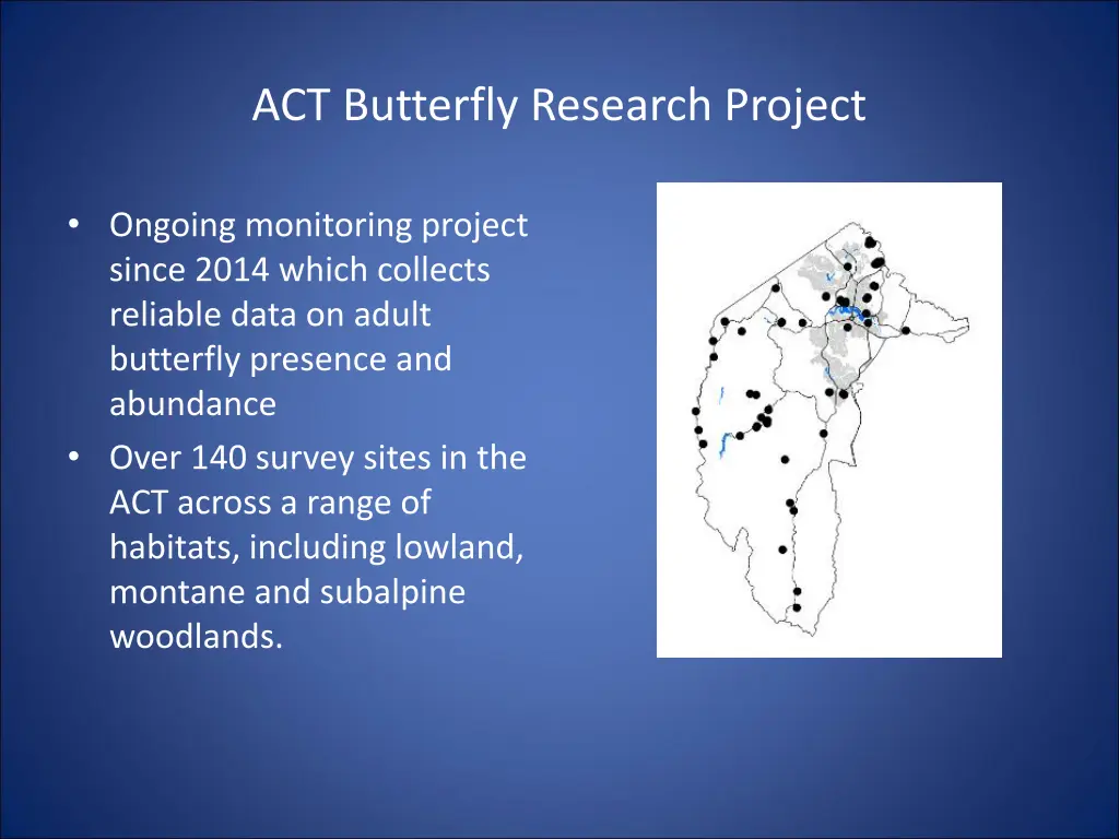 act butterfly research project