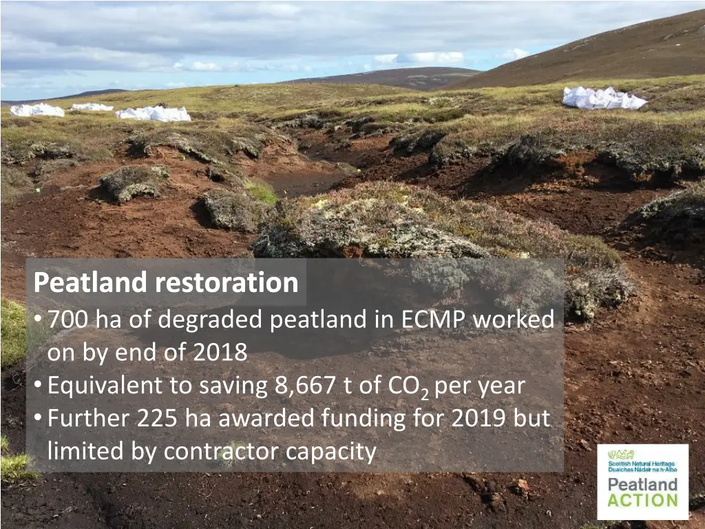 peatland restoration 700 ha of degraded peatland