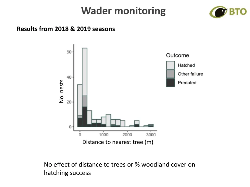 wader monitoring