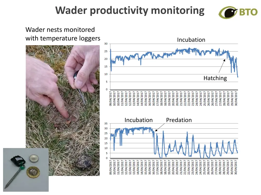 wader productivity monitoring 1