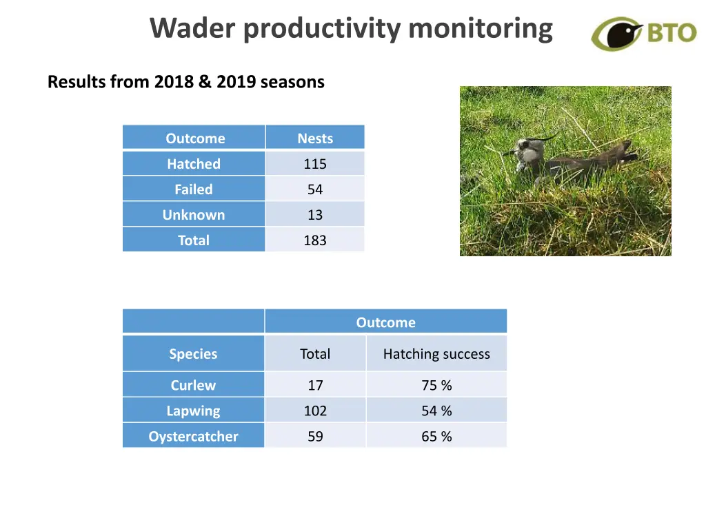 wader productivity monitoring 2