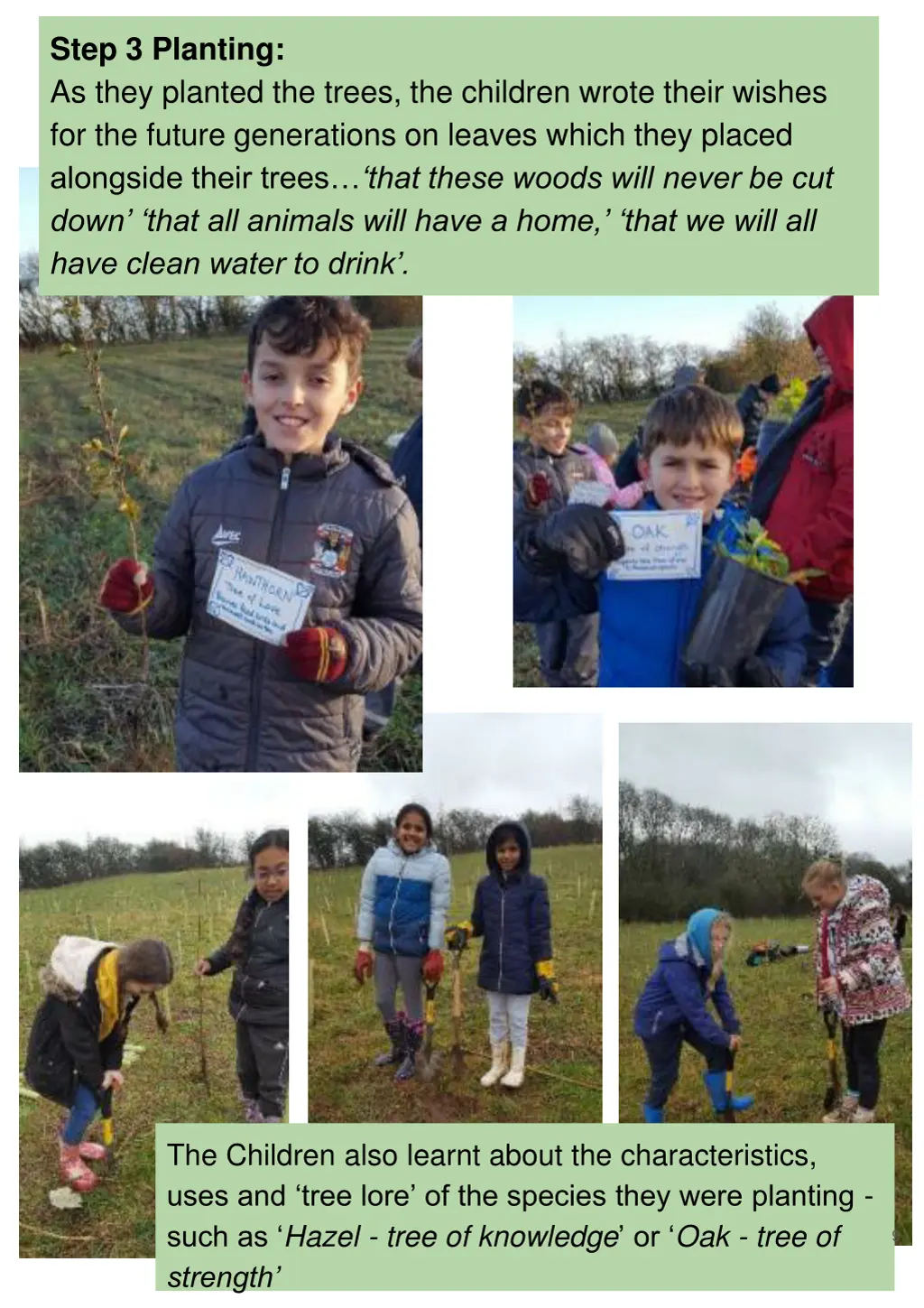 step 3 planting as they planted the trees