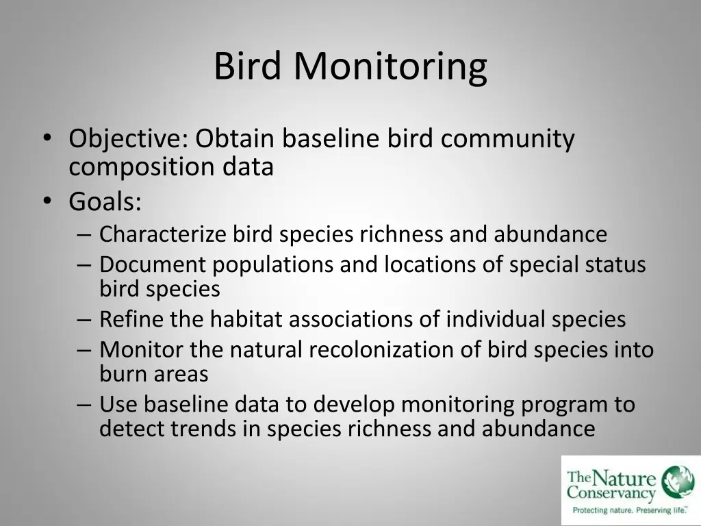 bird monitoring