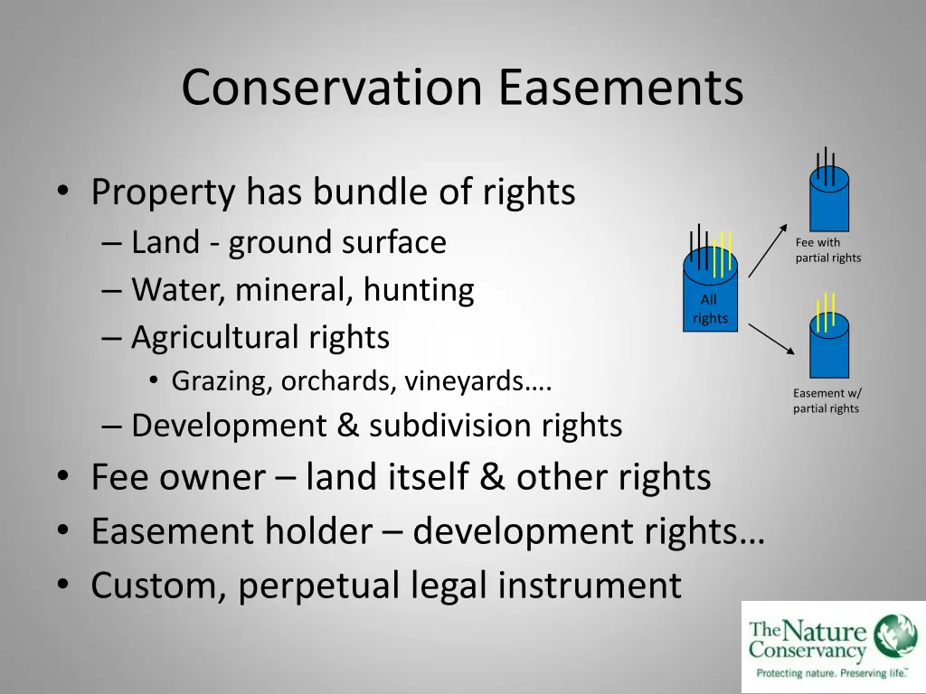 conservation easements