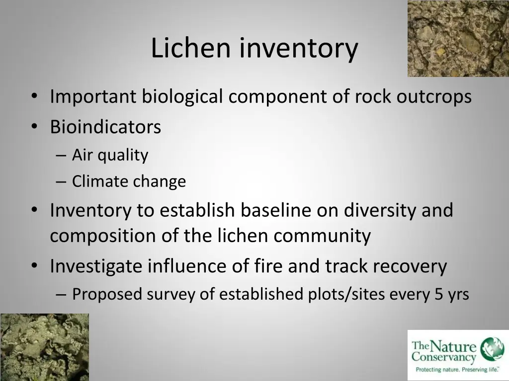 lichen inventory