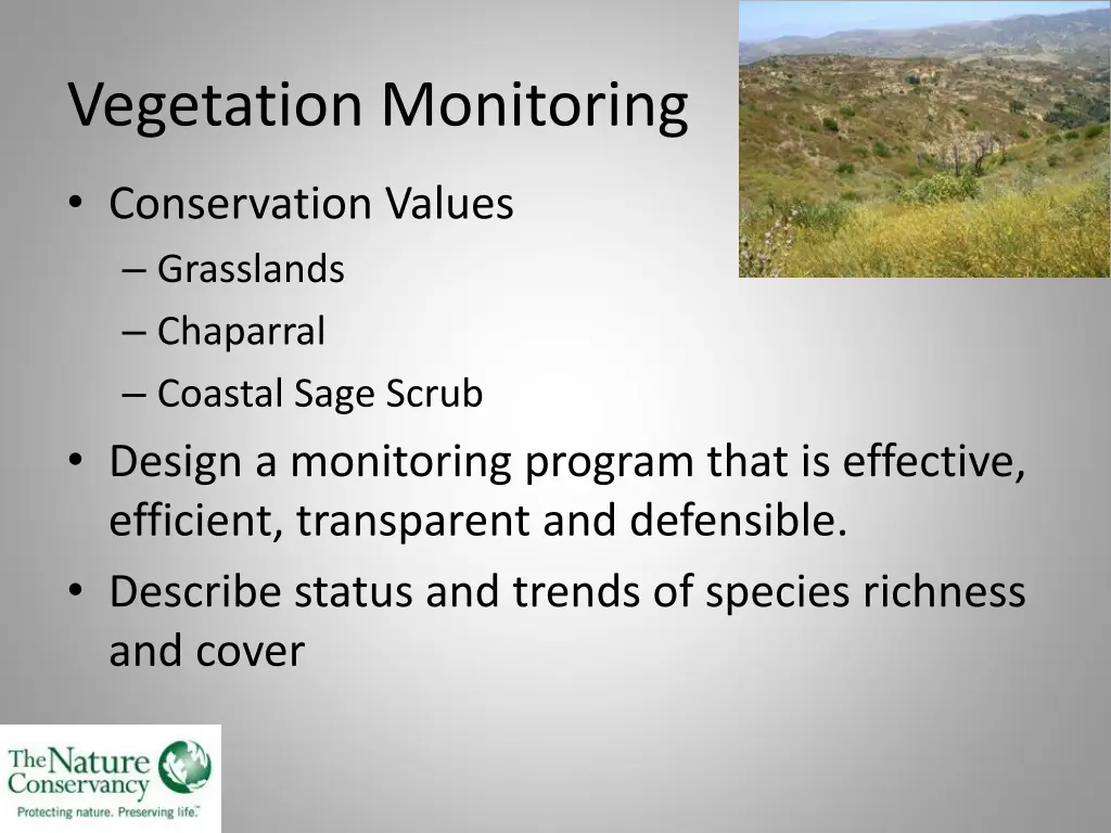 vegetation monitoring