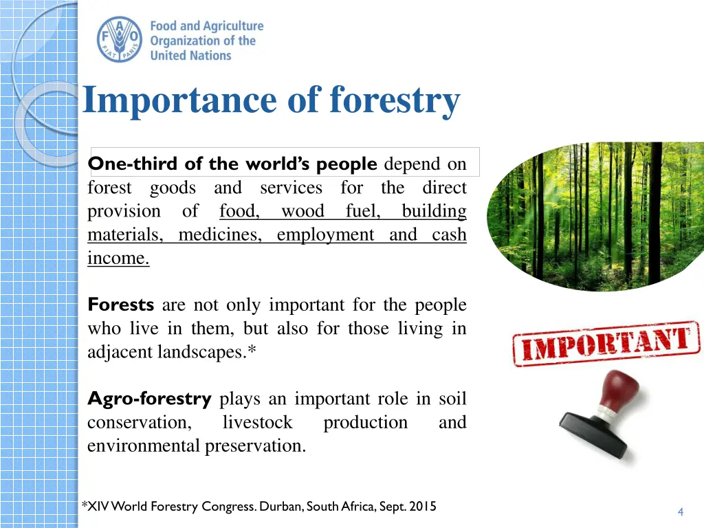 importance of forestry