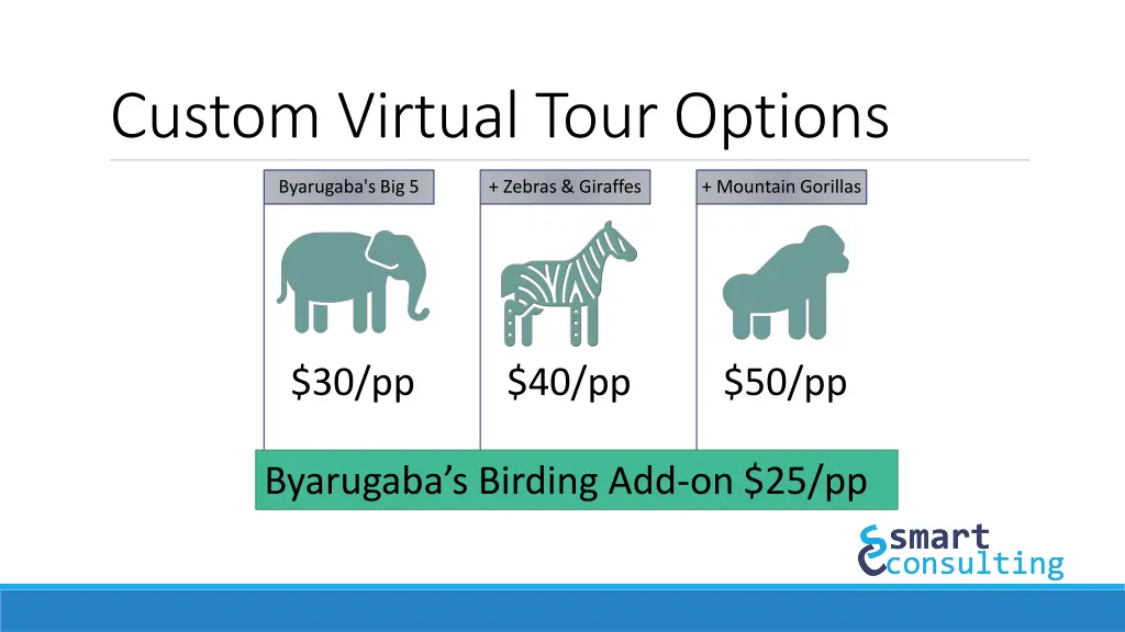 custom virtual tour options