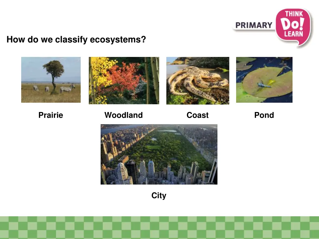 how do we classify ecosystems