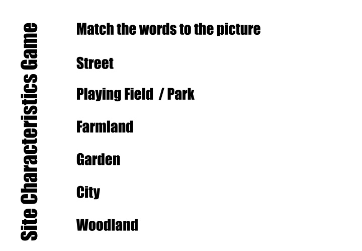 match the words to the picture