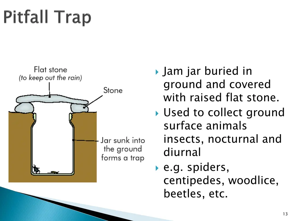 jam jar buried in ground and covered with raised