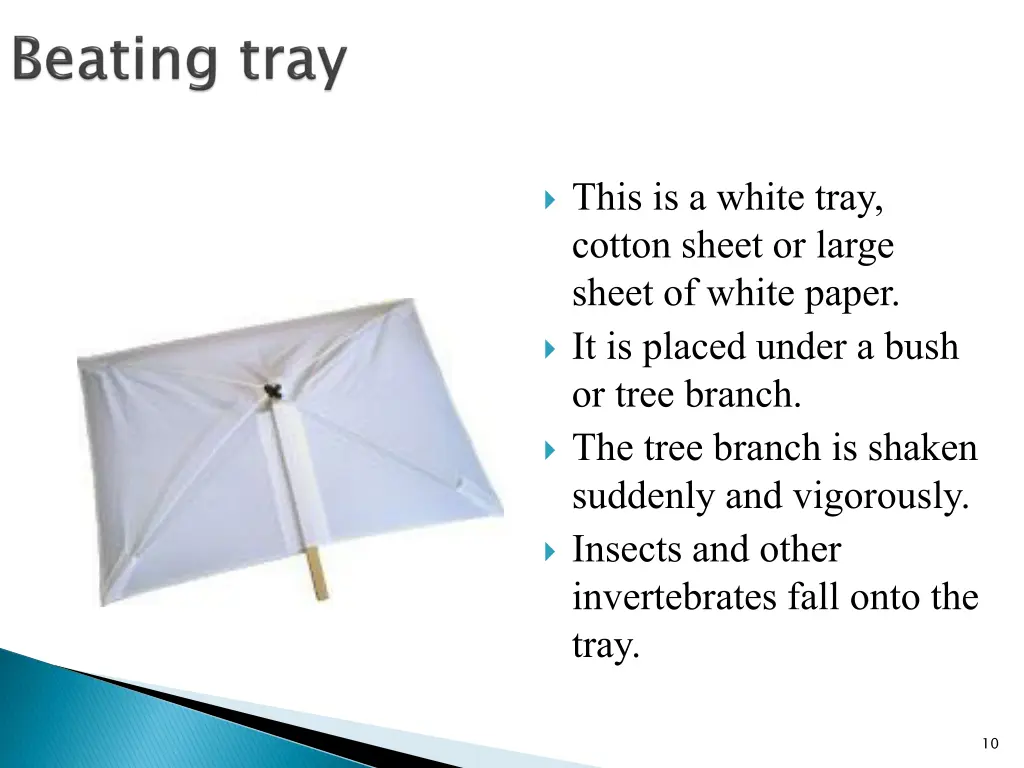 this is a white tray cotton sheet or large sheet