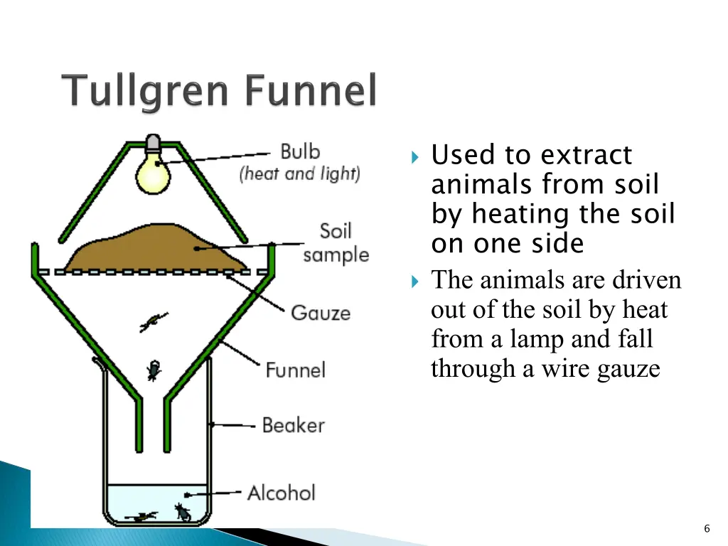 used to extract animals from soil by heating