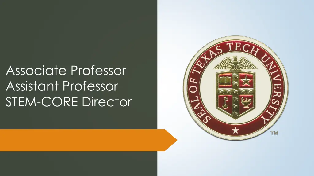 associate professor assistant professor stem core