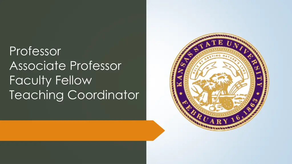 professor associate professor faculty fellow