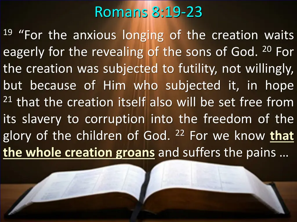 romans 8 19 23