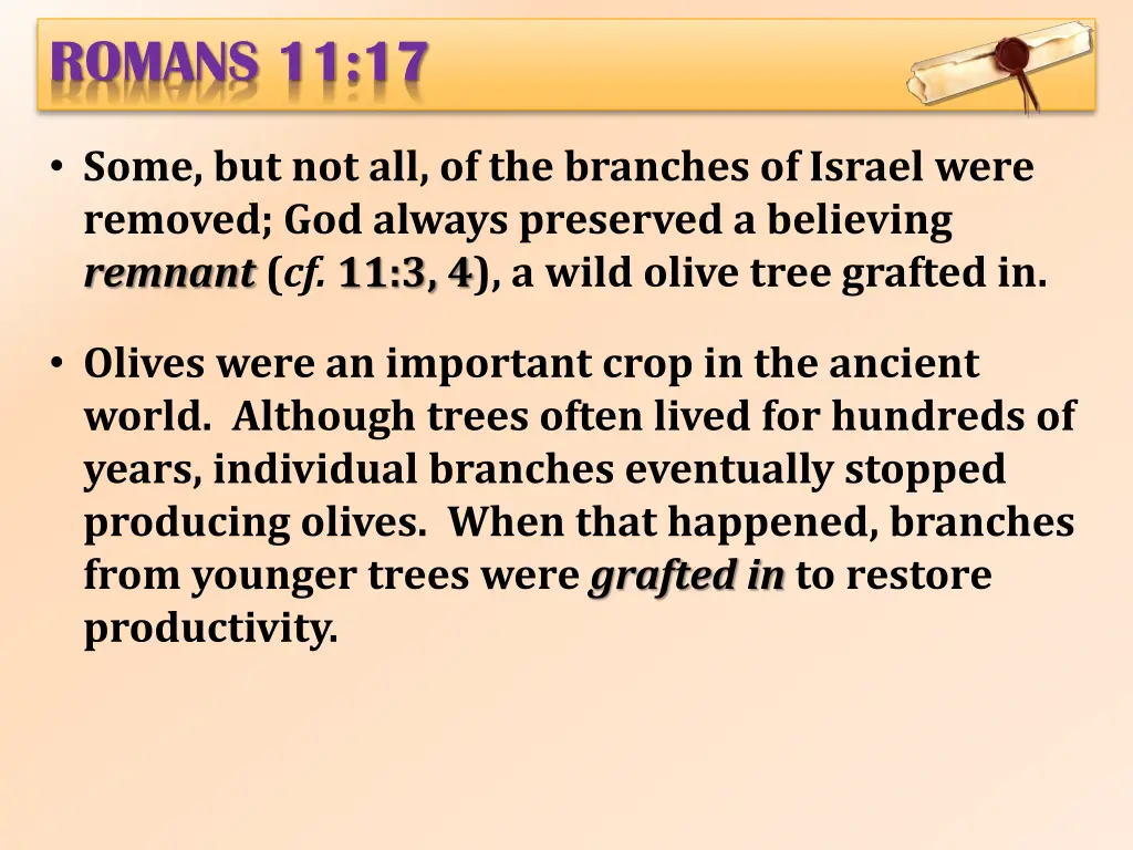 romans 11 17 1