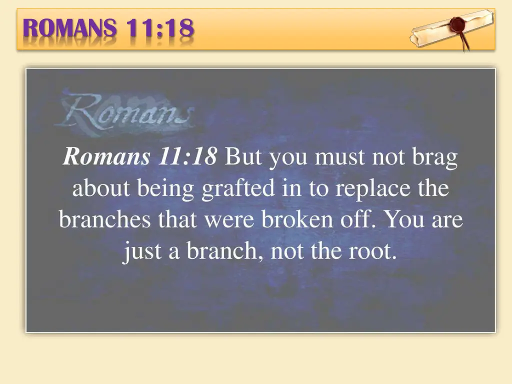 romans 11 18