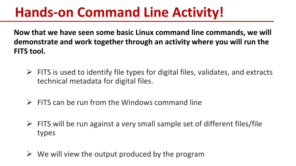 hands on command line activity