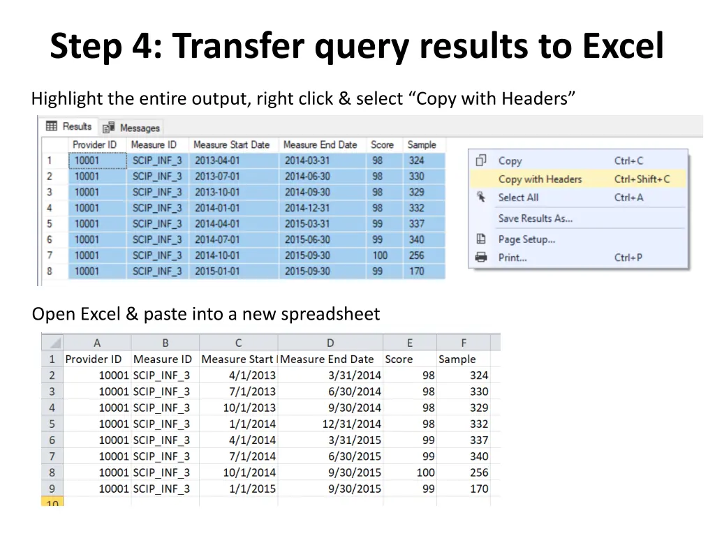 step 4 transfer query results to excel