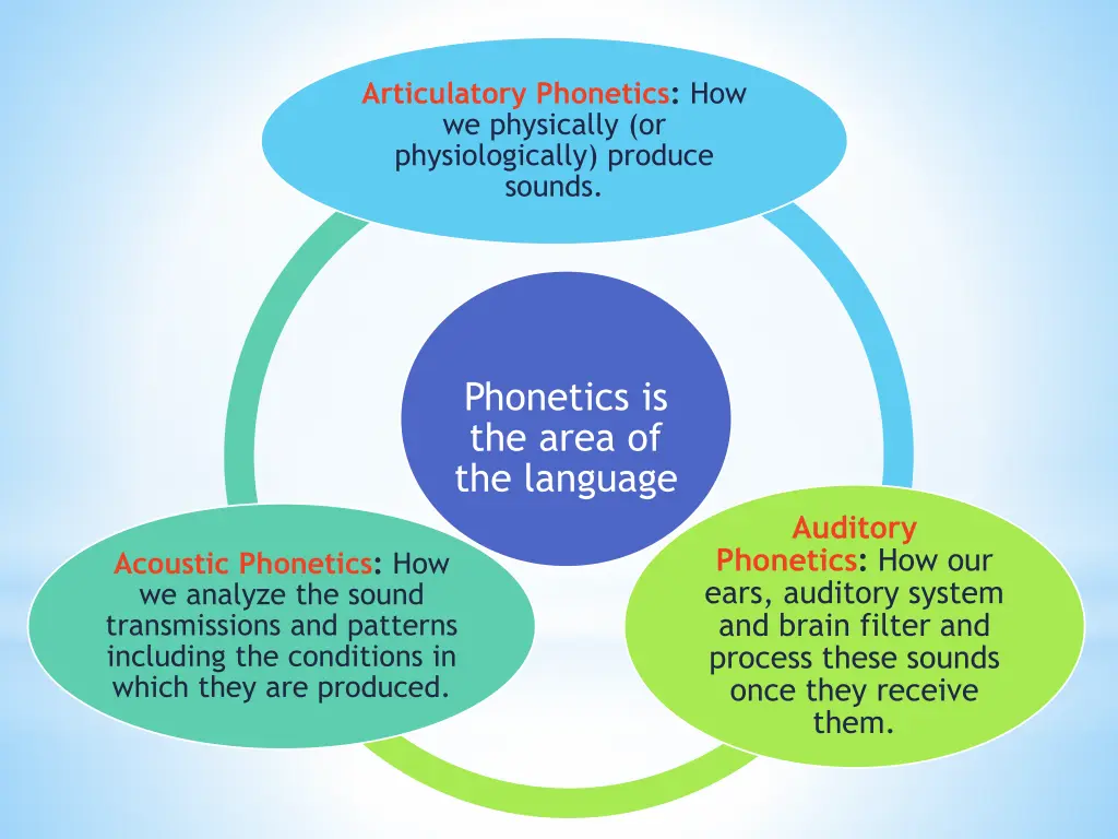 articulatory phonetics how we physically